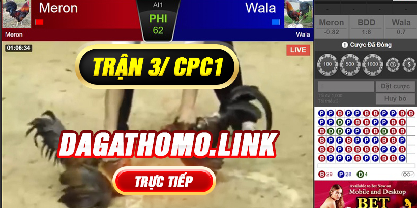 Đá Gà Thomo Cpc1