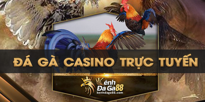 đá gà casino trực tuyến