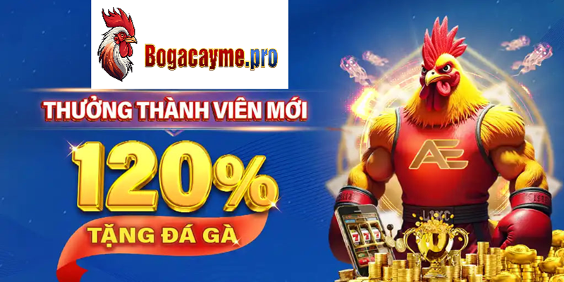 Đá Gà Bồ cây me Pro