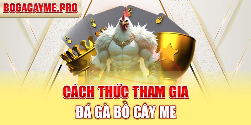 Cách Thức Tham Gia Đá Gà Bồ Cây Me