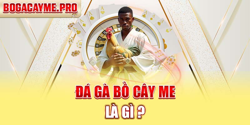 Đá Gà Bồ Cây Me Là Gì?