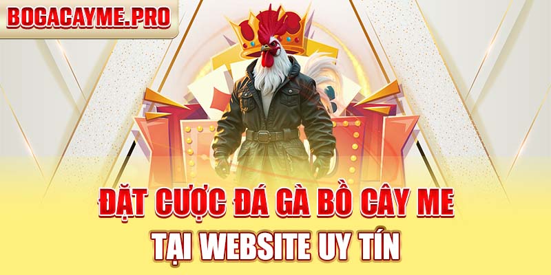 Đặt Cược Đá Gà Bồ Cây Me Tại Website Uy Tín