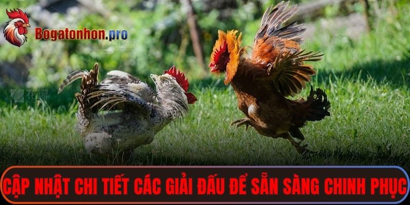 Cập nhật chi tiết các giải đấu để sẵn sàng chinh phục bảng kèo hấp dẫn Cập nhật chi tiết các giải đấu để sẵn sàng chinh phục bảng kèo hấp dẫn