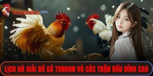 Lịch Đá Giải Bồ Gà Tonhon