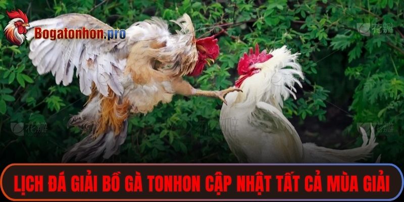 Lịch đá giải bồ gà Tonhon cập nhật tất cả mùa giải lớn nhỏ diễn ra Lịch đá giải bồ gà Tonhon cập nhật tất cả mùa giải lớn nhỏ diễn ra