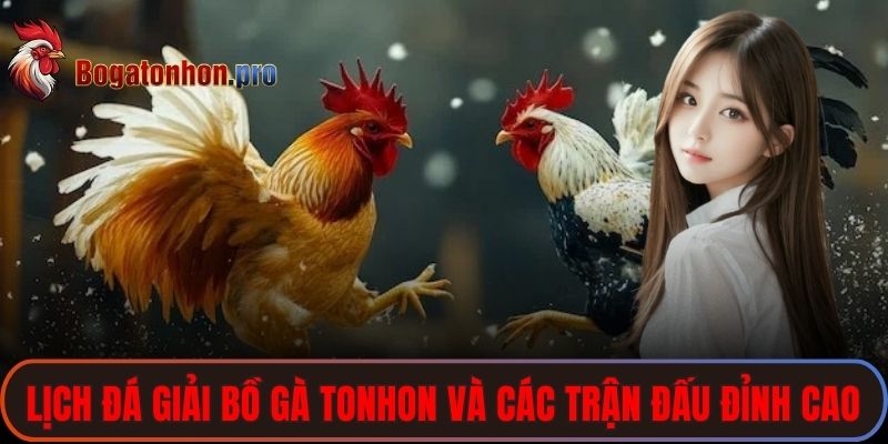 Lịch Đá Giải Bồ Gà Tonhon